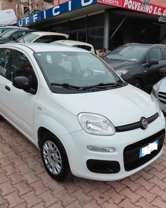 Panda 1.2 BENZ E GPL APPENA RINNOVATO 2015