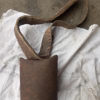 campanaccio antico  x animale alpino