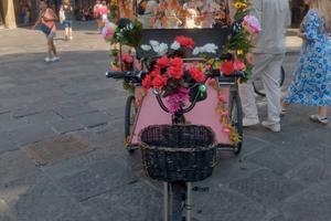 Venedesi Risciò con oedalata assistita