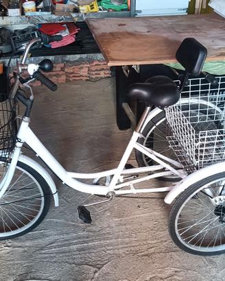 Bicicletta triciclo