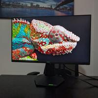 Monitor Dell G2422HS 24" Full HD 165Hz