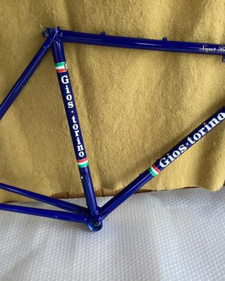 Gios Torino e Masi Prestige Telaio