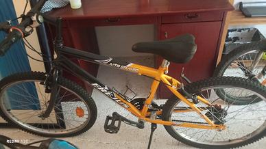 Mountain-bike 