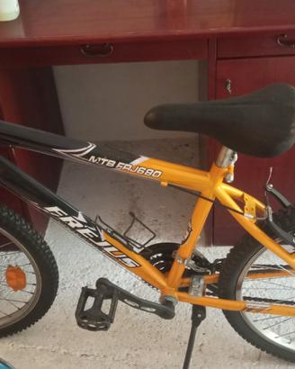 Mountain-bike 
