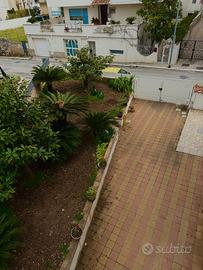 B&b il mandorlo