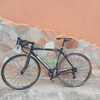 Bici da corsa Bianchi in carbonio 