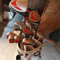 mazze golf+sacca TaylorMade+carrello