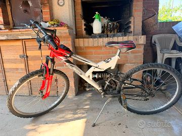 Bicicletta 24"