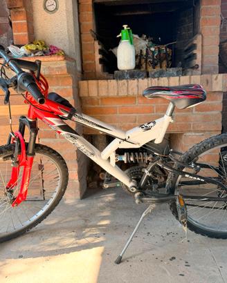 Bicicletta 24"