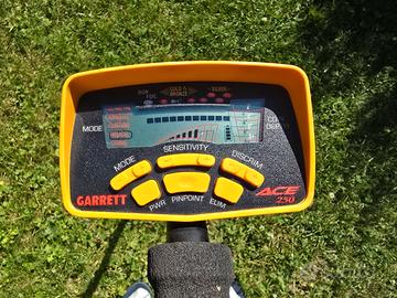 Garrett Ace 250