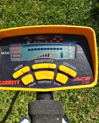 Garrett Ace 250