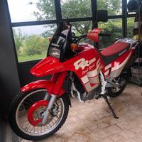 Splendida DR 800 S Big