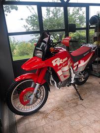 Splendida DR 800 S Big