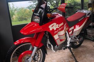 Splendida DR 800 S Big