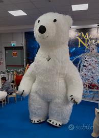 Mascotte orso polare 2.60m