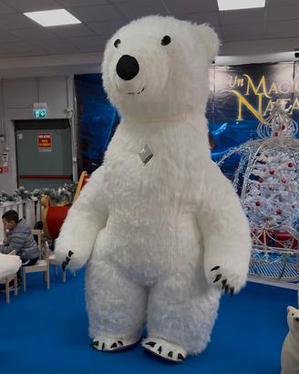 Mascotte orso polare 2.60m