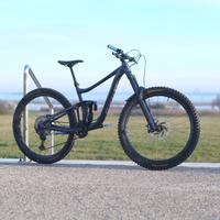 Giant reign 1