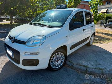 Fiat Panda 1.2 GPL Van 2 posti