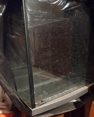acquario in vetro 