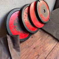 Dischi Technogym da 28 mm. Totale 10 Kg