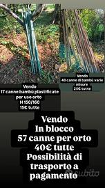 57 canne x orto 