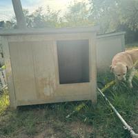 Cuccia coibentata usata XL