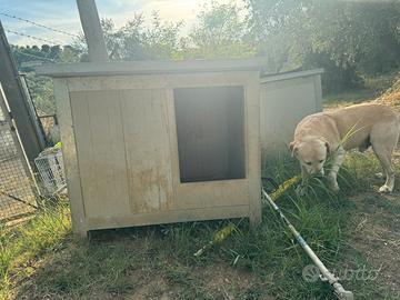 Cuccia coibentata usata XL