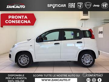 FIAT Panda 1.0 FireFly S&S Hybrid Icon 65cv ...