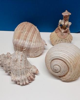 conchiglie e bambola souvenir San Remo anni 70