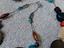 Immagine 6