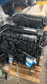 coppia Mercruiser diesel 185 hp e piedi Bravo 