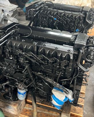 coppia Mercruiser diesel 185 hp e piedi Bravo 