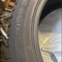 Gomme da neve