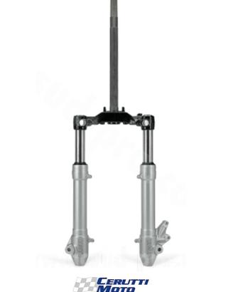 Forcella completa Yamaha Aerox Nitro 97-02