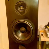 Diffusori Monitor Wilmslow Audio SM 108