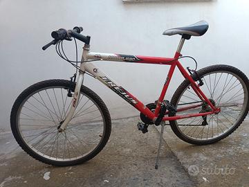 Due biciclette