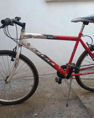 Due biciclette