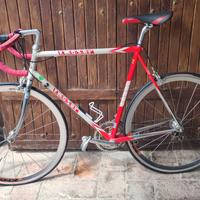 BICICLETTA MOSER PRO EVOLUTION 