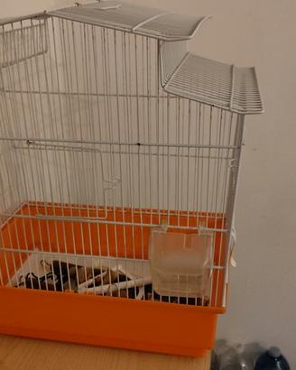 gabbia per pappagalli 
