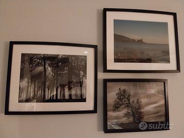 FOTOGRAFIA INCORNICIATA o SOLO FILE RAW /JPEG