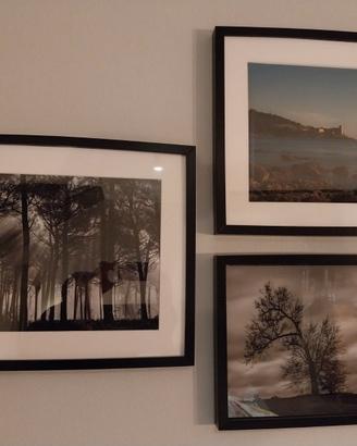 FOTOGRAFIA INCORNICIATA o SOLO FILE RAW /JPEG