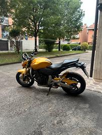 Honda Hornet 600