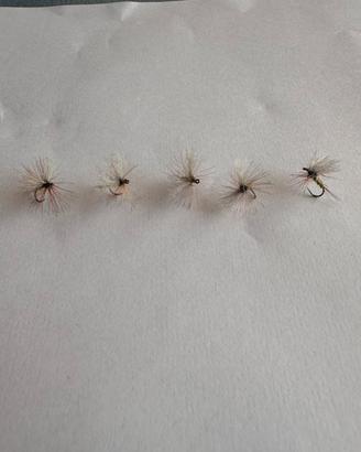 5 mosche secche artigianali tipo sedge/caddis