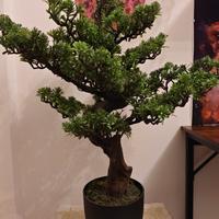 Piante finte in plastica Bonsai 