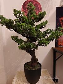 Piante finte in plastica Bonsai 