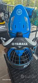 Acqua Scooter Yamaha RDS 250