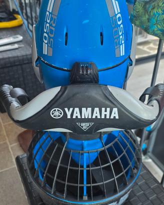 Acqua Scooter Yamaha RDS 250