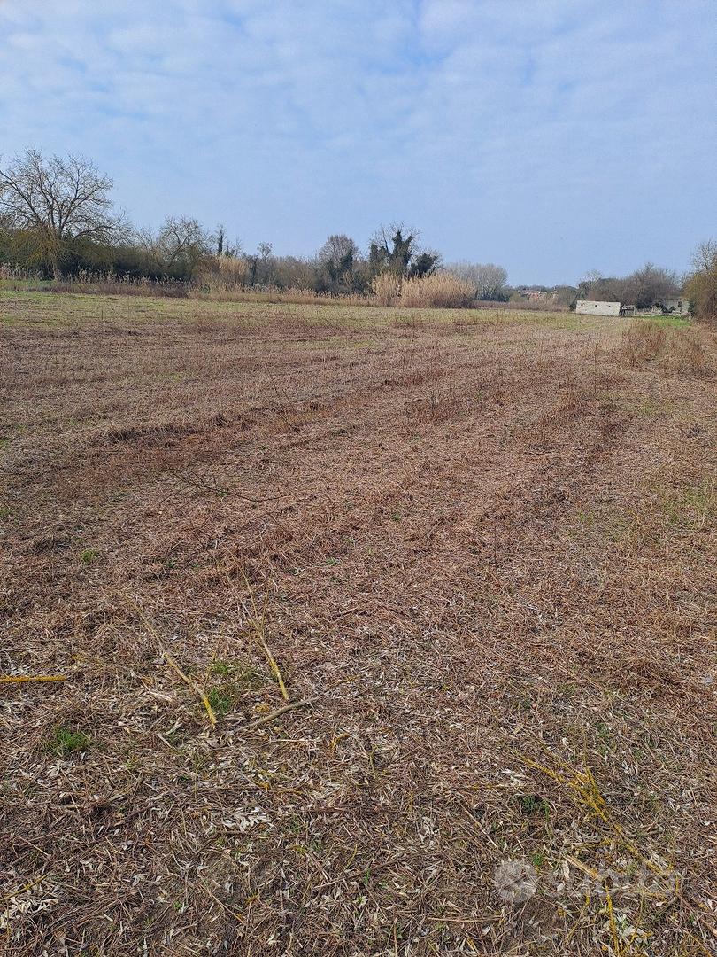 terreno agricolo a Portoviro - Vista 2