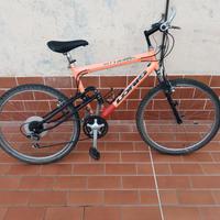 Bicicletta Mountain bike