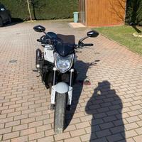 Yamaha FZR 1000 - 2012
